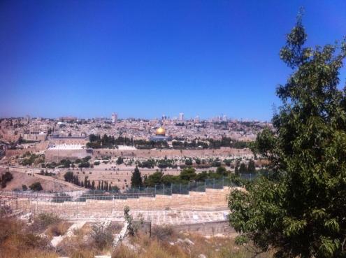 10556366_762633047115954_1275565259687589732_n